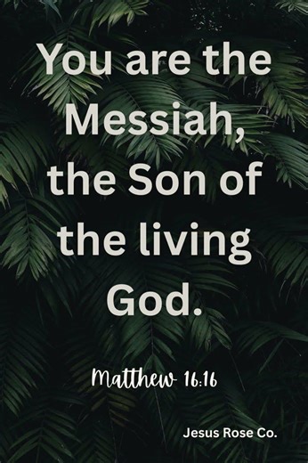 Catholic Bible Study | Matthew 16:16 | Jesus Rose Co. ✝️