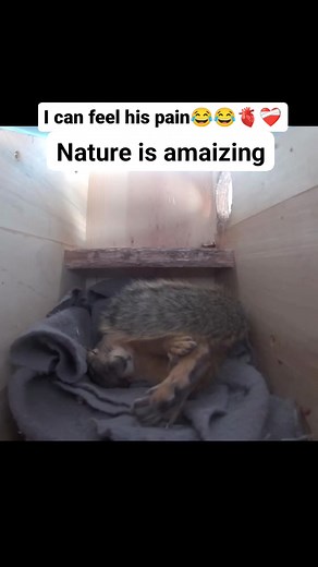 Nature is amaizing.... #scared #wildlifephotography | Anathoth South Africa Travel and Tours