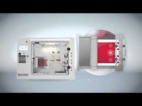 Scinus cell expansion