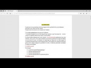 péritoine ( d'abdarahman rekik ) Bon courage