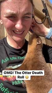 OMG! Who Knew About The Otter Death Roll?? Don’t Miss Our SPRING BREAK SAFARI March 17-26 Book NowOtter, Kangaroo & A Very Special New Encounter Included All Feed For Llamas Alpacas Sheep Goats Donkeys & Cows $25 ppBook It NOW⬇️⬇️⬇️⬇️⬇️www.AnimalEDventures.com.March Holdings & Add ons Sloth Encounter $25 (Petting & Pics) Sloth Holding $75 (Includes Encounter)Kangaroo Kuddles $15Pay At Arrival - Sloth Holdings Are Limited So Make Sure To Check In early (up to 30 min)Located in Boynton Beach Fl at