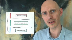 RVTS - Traumefeltets nyttigste verktøy