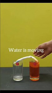 Absorption Tissue paper absorbs water and passes it along. #experiment #viral #science #editing