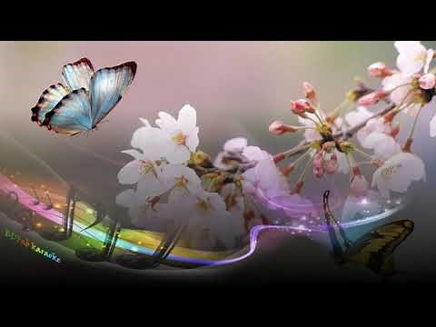 Grégoire - Chanson pour un enterrement (2018) [BDFab karaoke]