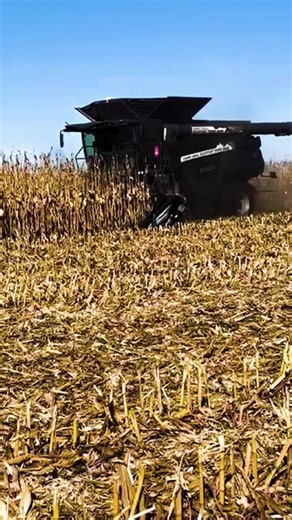 1.3K views · 20 reactions | The Fendt IDEAL Roadshow stopped by Brent Larson Farms with an IDEAL 8T and MT940. It was a great opportunity to showcase harvest innovation in action. Thanks to Kevin and Brent at Larson Farms for hosting and letting us share the future of farming with your team. #HarvestRecap #FendtIDEAL8T #FendtMT940 #Roadshow #ZieglerAg #AGCO | Ziegler Ag Equipment | Facebook