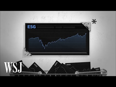 What Are ESG Funds and Why Are They Under Scrutiny?