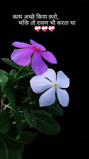 Real struggle in chhath pooja ❤️ | most viral video 🔥 #shorts #ytshorts​Chhath Puja ki Kahani