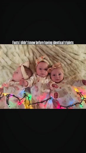Aubrey Nelson on Instagram: "🩷 the chance of having identical triplets is 20 to 30 in 1 million births 🩷 identicals exhibit nearly identical brain wave patterns 🩷 identical triplets come from one sperm fertilizing one egg aand splitting into 3 embryos 🩷 identicals are NOT hereditary 🩷most identicals have a peach and pear shaped face 🩷 identical triplets have identical DNA But unique fingerprints 🩷they have different birth marks! #rainbowbaby #quadruplets #nicu #nicubabies #quads #triplets