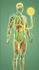 What Lemon Juice Really Does Inside Your Body! #educationalshorts #3danimation #animtion
