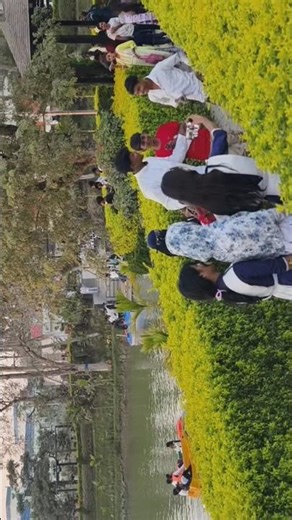 Effortlessly generate tags for your videos using our free YouTube tag generator. Get the most