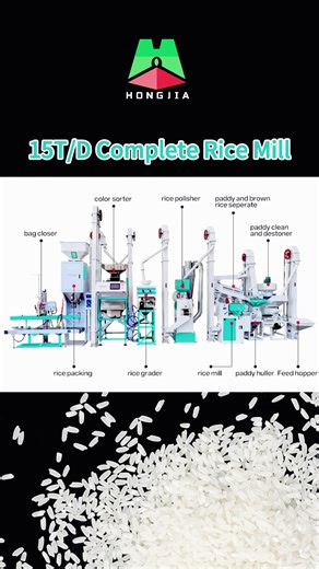 Affordable Rice Mill Machine for Small-scale Rice Processing | 600-900 kg per Hour