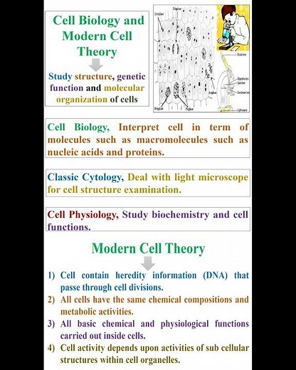 Principle of Cell Biology and Modern Cell Theory #geneticteacher