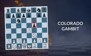 Colorado Gambit | The Refutation