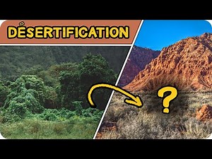 COMMENT se produit la DÉSERTIFICATION ?
