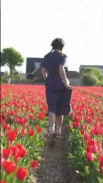 Exploring Amsterdam 🇳🇱 | Canals, Culture & Hidden Gems in 4K #amsterdam #traveldestinations