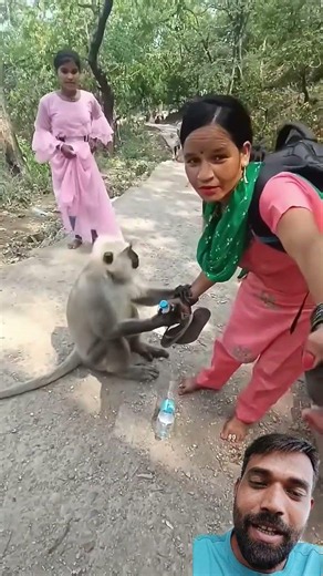 जो दूसरों की मदद करता है भगवान उसका हमेशा भला करता है 💯☺️❤️ #monkey #kindness #humanity #wildlife