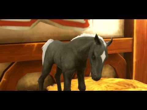 Alicia Online Breeding Stream #4