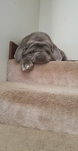 Gravity at its finest! Passed out TOAD. | TOAD