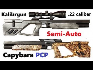 Kalibrgun CAPYBARA Semi-Auto PCP Rifle (.22 caliber) 2018 Best Air Rifle Review