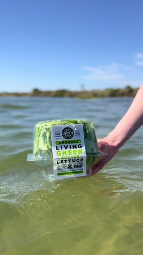 Out here working on this tan 🏖️🥬☀️ • 🚤 • 🚤 • 🚤 • #organic #healthyfood #wellness