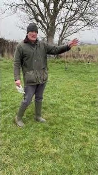 Lancing Community Garden