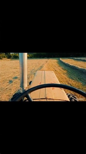 Haymaking with a Ursus C-360 and a rake, making hay windrows 🙂