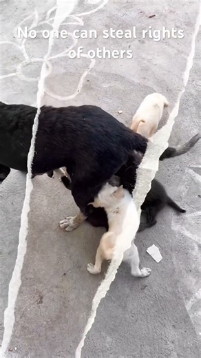 Equal Rights to Live For All - A Call to Action