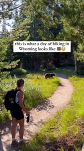 974K views · 6.9K reactions | How to stay safe in a bear encounter...