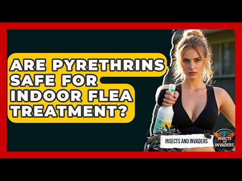 Are Pyrethrins Safe For Indoor Flea Treatment? - Insects and Invaders