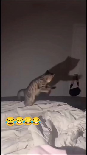 22K reactions · 1.5K shares |  | Prem Kumar Prem | Facebook