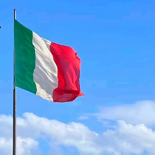 Michael Rizzo on Reels