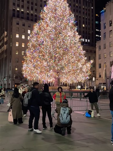 Discover the Stunning Beauty of New York City | Must-See NYC Views #newyorkcity #travel #nyc26 #usa #snowfall