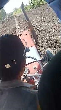 shibaura s1500 sới mì