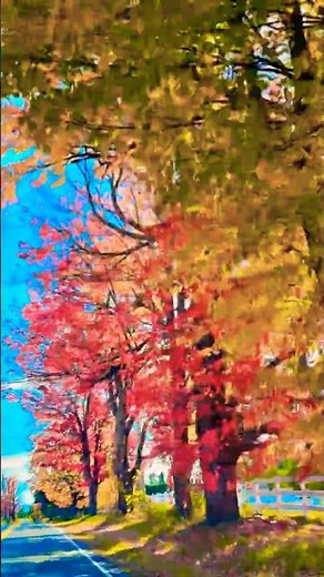 Driving Through Peak Fall Foliage in Vermont | Stunning Red Maples