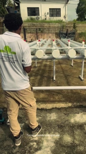 Custom-built hydroponic systems designed for real results 🙌 Grow smarter 🧠 Invest better💰 📩 DM us to build your system #🇹🇹 #hydroponics #fyp #custombuilds