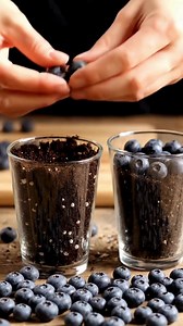 🟣 How to Plant Blueberries from Seed, Quickly and Easily ........👇🏡 #fblifestyle | Homestead Gardening