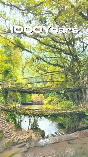 The Strongest Natural Bridge in India #hidden #places #travel #shorts