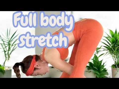 Primal Moves Conditioning Sequence + Alignment Tutorial