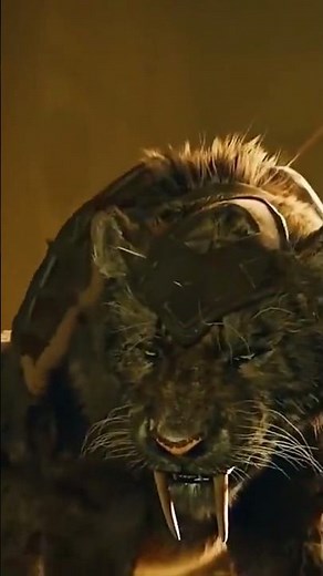 Most Dangerous Animals in the World | Deadliest Creatures on Earth 🦁