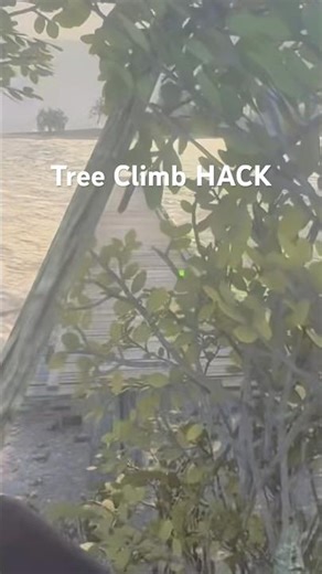 Tree Climb HACK!!!! #RuralRoots #TeamPFox