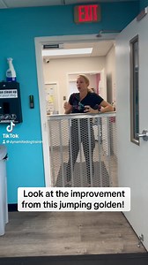 11K views · 47K reactions | #fyp #dogtraining #doggo #dogtrainingtips #dogtrainer #puppytraining #dogsofinstagram #dogtrainingadvice #goldenretriever #goldenretrievers | Dynamite Dog Training | Facebook