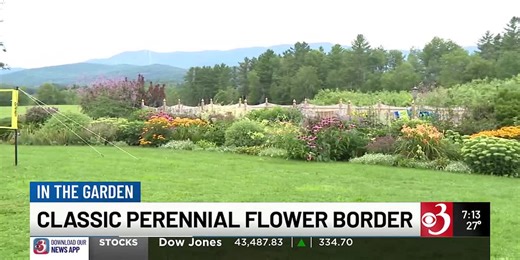 In the Garden: Classic perennial flower border