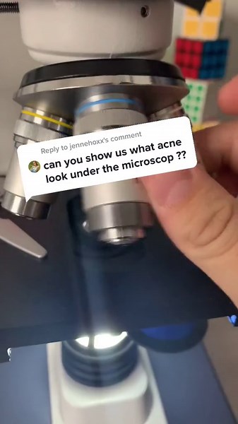 Science in Action: Discovering Bacteria Under the Microscope