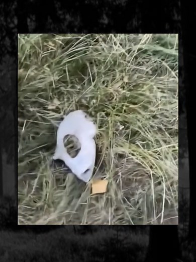 Terrifying Ghost Encounters Caught on Camera