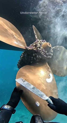 Removing 10,000 Barnacles From a Ship Hull 😳⚓