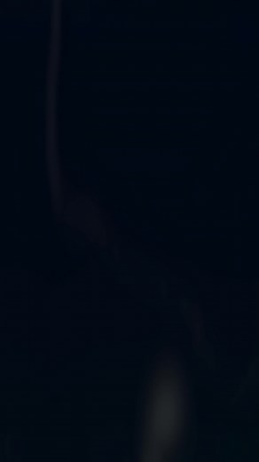 Simple sword animation | #fyp #fyp #fypシ #fypage #fypシ゚viral #fypp #fyppppppppppppppppppppppp #fyy #fypdong #roblox #robloxfyp #robloxedit #robloxgames #animation #blender #robloxbloxfruit #bloxfruitupdate17 #edit #lifeinrio #entertainment #robloxanimation #3danimation #showcase #forfun #blenderanimation #effects