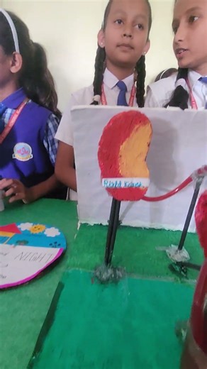 Blood Filteration working model