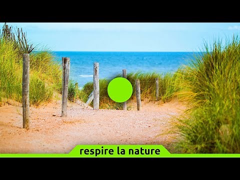 🟢 Cohérence cardiaque exercice n°172 | Plages | 5 min