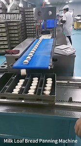 Milk Loaf Bread Panning Machine | Ying Machinery