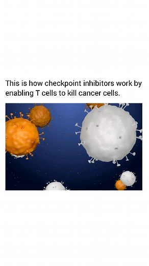 Biology on Instagram: "Immunotherapy | Immune Checkpoint Inhibitors Immune checkpoint inhibitors work by blocking checkpoint proteins from binding with their partner proteins. This prevents the “off” signal from being sent, allowing the T cells to kill cancer cells. Found . #cancertreatment Source | link .Creative biolabs https://youtu.be/Qv0XD1ycCJk?si=xIfjMR5hBNr-uOXj #biotechnology #tumor #oncology #biology"